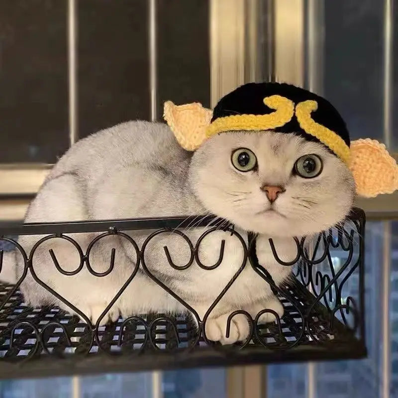 Cute Refined Cat Hat Elastic Autumn - Goshen Delightful Superstore