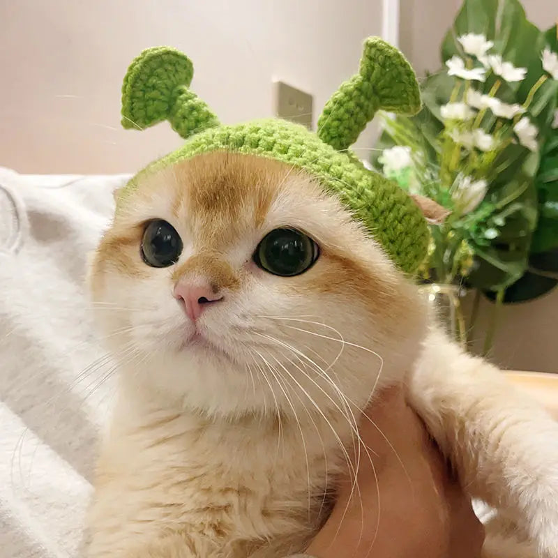 Cute Refined Cat Hat Elastic Autumn - Goshen Delightful Superstore