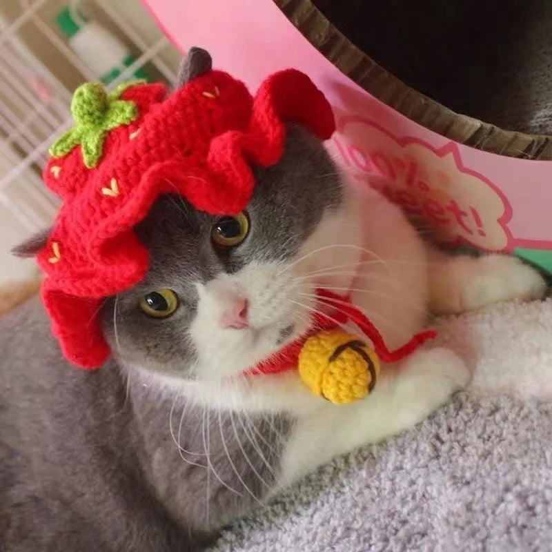 Cute Refined Cat Hat Elastic Autumn - Goshen Delightful Superstore