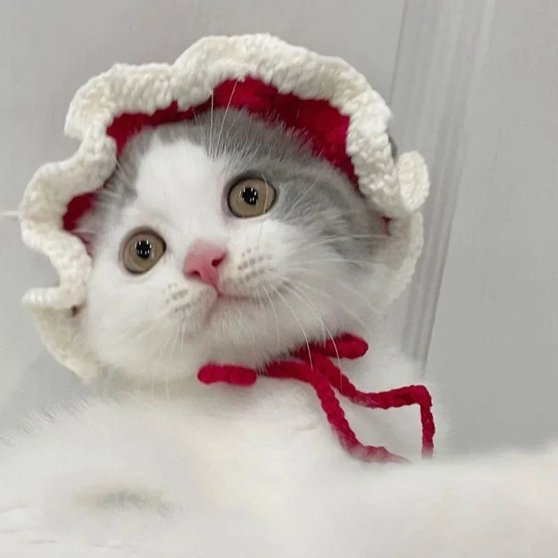 Cute Refined Cat Hat Elastic Autumn - Goshen Delightful Superstore