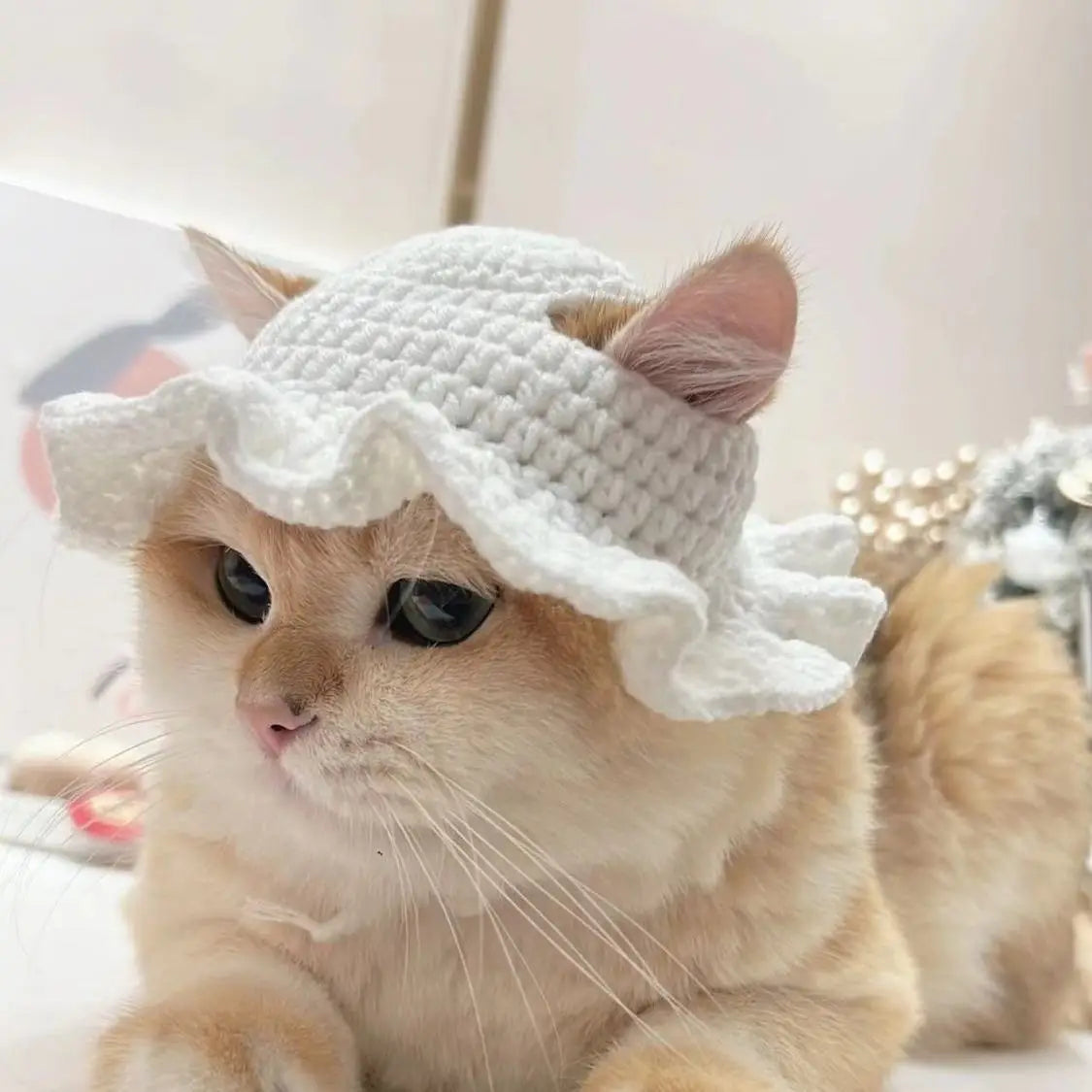 Cute Refined Cat Hat Elastic Autumn - Goshen Delightful Superstore
