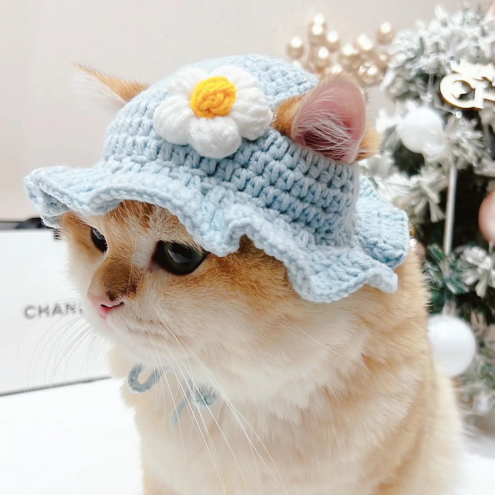 Cute Refined Cat Hat Elastic Autumn - Goshen Delightful Superstore