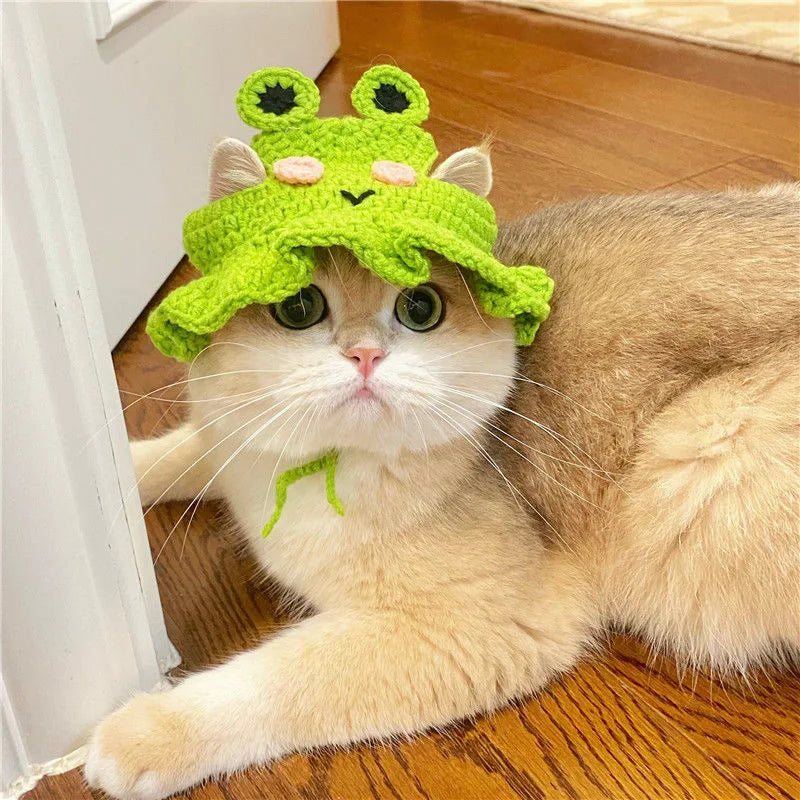 Cute Refined Cat Hat Elastic Autumn - Goshen Delightful Superstore