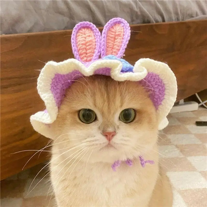 Cute Refined Cat Hat Elastic Autumn - Goshen Delightful Superstore
